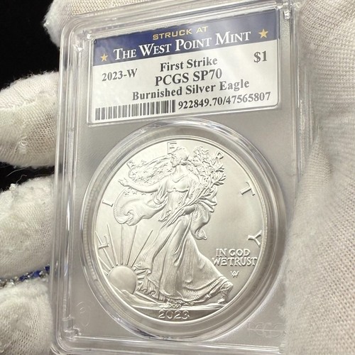 Burnished 2023 1 silver - 2023,