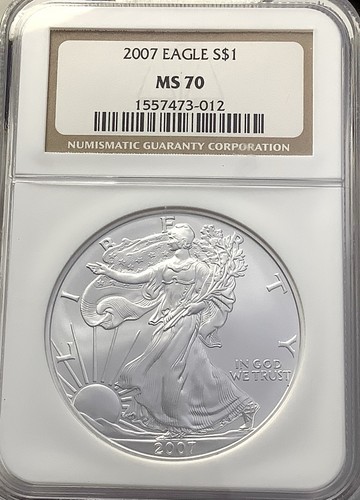 2007 american silver - silver, eagle