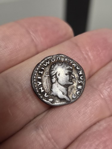 Domitian denarius pegasus - denarius,, on