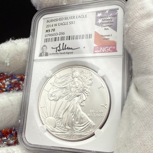 Burnished 2014 1 silver - burnished, w