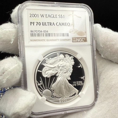 Proof 2001 silver - proof,