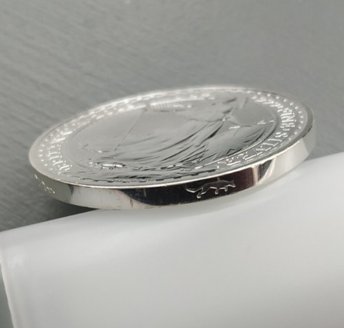 Dog privy silver - privy,