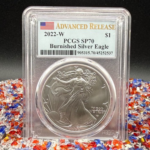 Burnished 2022 1 silver - burnished, w